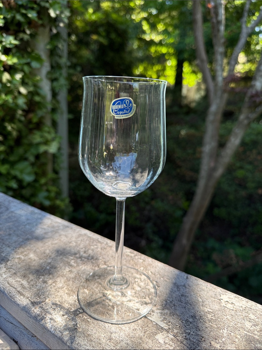 Clear Wine Glass — Elegant Clear Stemware